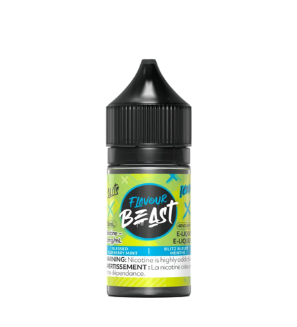 Flavour Beast Blessed Bluebery Mint E-liquid