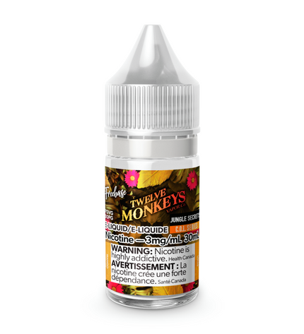 Twelve Monkeys: Jungle Secrets
