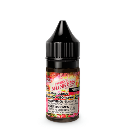 Twelve Monkeys Salt Nicotine E-Liquid Paradise